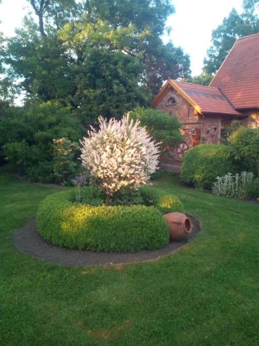 Loxstedt Ferienhaus Rosengarten מראה חיצוני תמונה